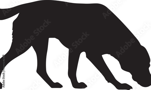 Silhouette of a dog with its head lowered sniffing the ground