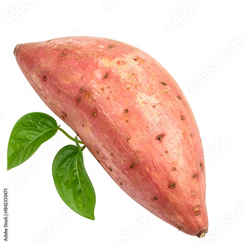 Close-up of a sweet potato with attached leafy greens against a stark white backdrop