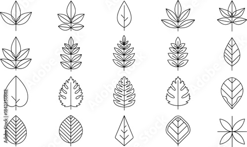 A comprehensive vector icon set featuring various minimal outline leaves, including deciduous, tropical, and botanical shapes, perfect nature branding, eco-friendly design, organic product packaging