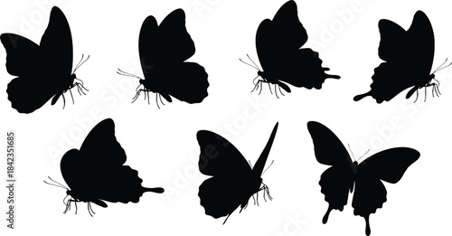 Silhouette of six black butterflies isolated on transparent background