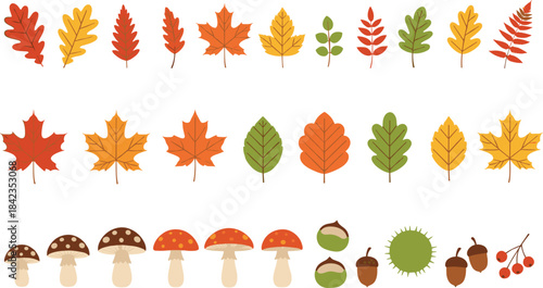 Autumn foliage illustration set featuring colorful fall leaves, mushrooms, acorns, chestnuts, berries, seasonal plants, and nature-inspired decorative elements