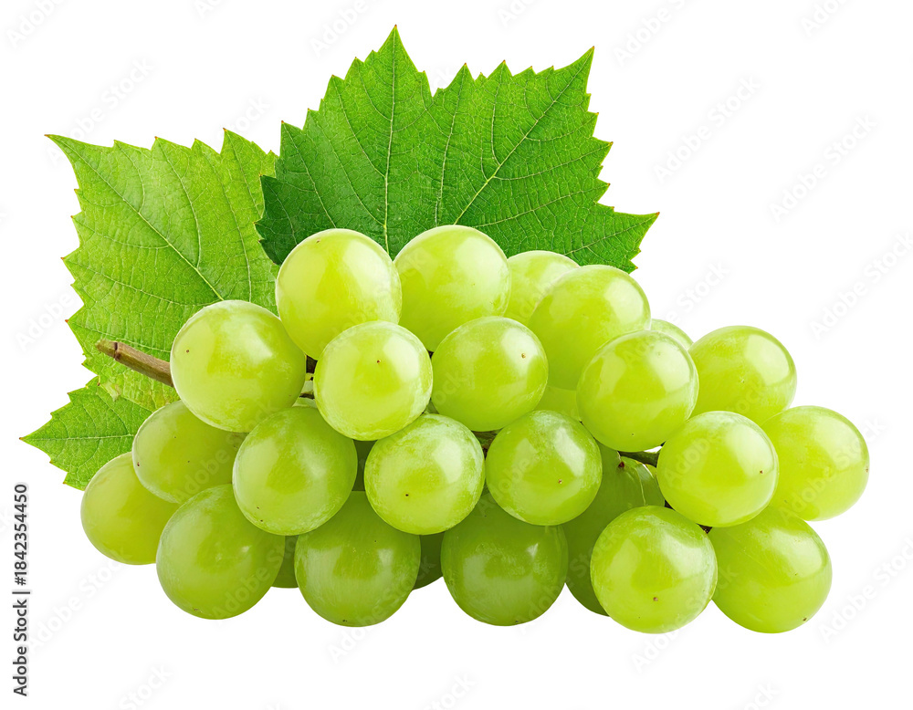 Obraz premium Close-up of green grapes on a vine with leaves, against a transparent backdrop