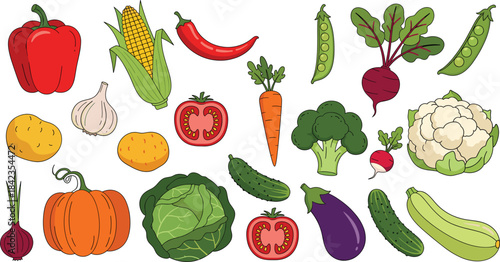 Colorful vegetable illustration set featuring peppers, corn, tomatoes, carrots, broccoli, cauliflower, cucumbers, eggplant, pumpkin, and fresh garden produce