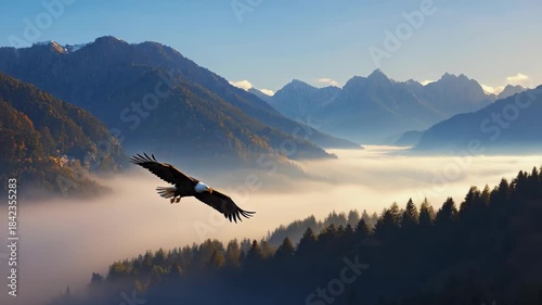A majestic bald eagle bird soars gracefully over misty mountains and a forest landscape at sunrise, symbolizing freedom, strength, power, and the timeless beauty of untouched wilderness in nature.