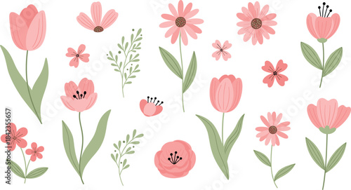 Elegant floral illustration set featuring pink flowers, blossoms, leaves, botanical elements, spring garden plants and decorative nature designs