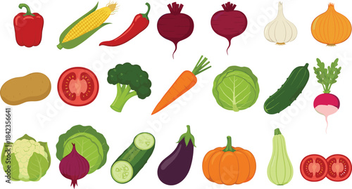 Fresh vegetable illustration set featuring peppers, tomatoes, carrots, cabbage, pumpkin, onions, broccoli, radish, cucumber, eggplant, and cauliflower