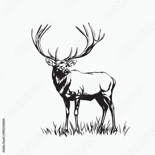 deer silhouette vector