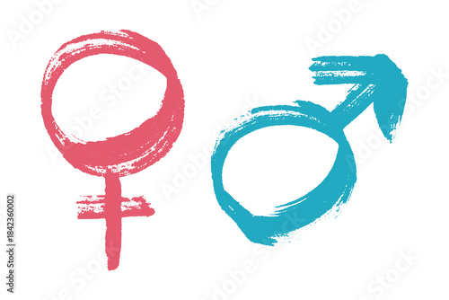 Hand drawn female and male gender identity sign Symbol used to represent sex and gender Single element for print, web, design, decor