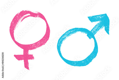 Hand drawn female and male gender identity sign Symbol used to represent sex and gender Single element for print, web, design, decor