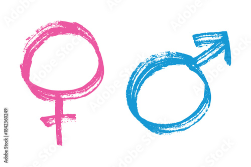 Hand drawn female and male gender identity sign Symbol used to represent sex and gender Single element for print, web, design, decor