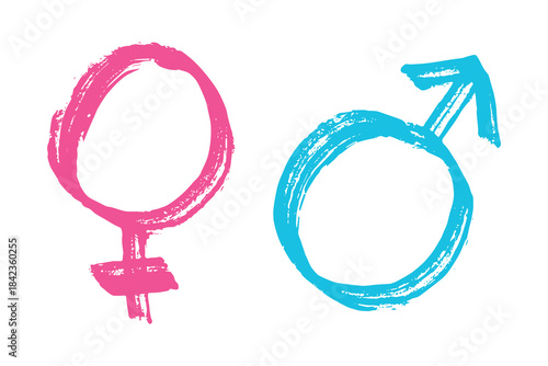 Hand drawn female and male gender identity sign Symbol used to represent sex and gender Single element for print, web, design, decor
