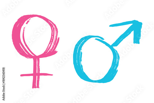 Hand drawn female and male gender identity sign Symbol used to represent sex and gender Single element for print, web, design, decor