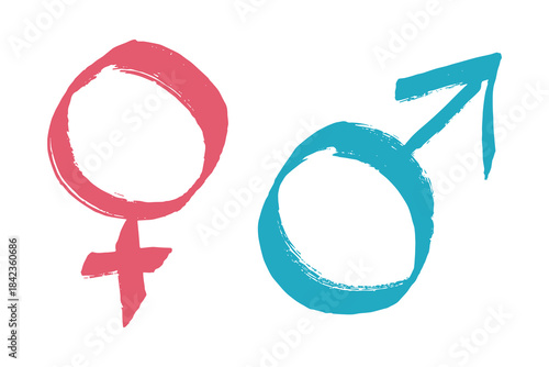 Hand drawn female and male gender identity sign Symbol used to represent sex and gender Single element for print, web, design, decor