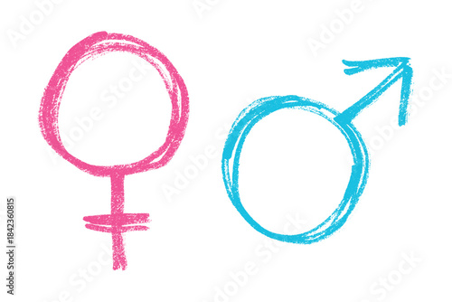 Hand drawn female and male gender identity sign Symbol used to represent sex and gender Single element for print, web, design, decor