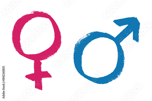 Hand drawn female and male gender identity sign Symbol used to represent sex and gender Single element for print, web, design, decor