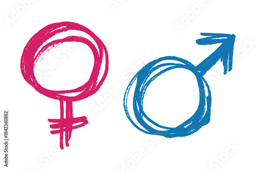 Hand drawn female and male gender identity sign Symbol used to represent sex and gender Single element for print, web, design, decor