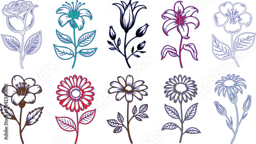 Outline Floral Illustrations with Colored Accents flower