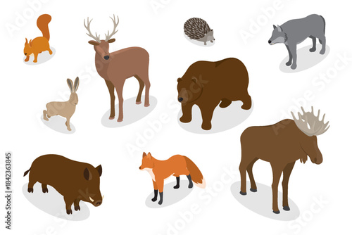 Woodland wild animals collection. Wolf, fox, deer, hedgehog, squirrel, hare, elk, bear, boar. Wildlife nature isolated characters zoo woodland inhabitants. Flat vector illustration.