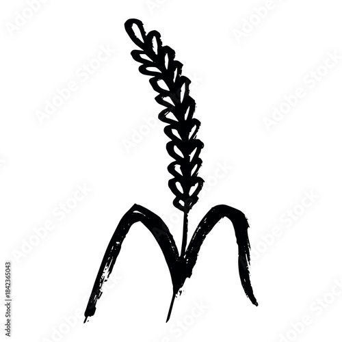 Hand drawn cereal wheat oat rye barley rice ears spikelet clipart Organic wheat bread agriculture farming harvest healthy food Single element for print packaging label design decor