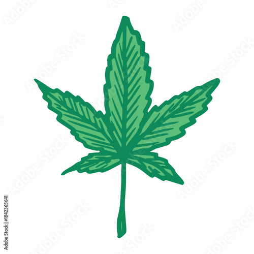 Hand drawn cannabis leaf Medicine marijuana Hemp leaves clipart in doodle style Single element for print, web, design, decor