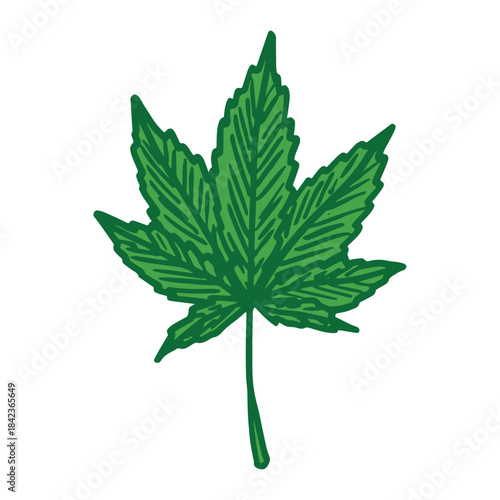 Hand drawn cannabis leaf Medicine marijuana Hemp leaves clipart in doodle style Single element for print, web, design, decor