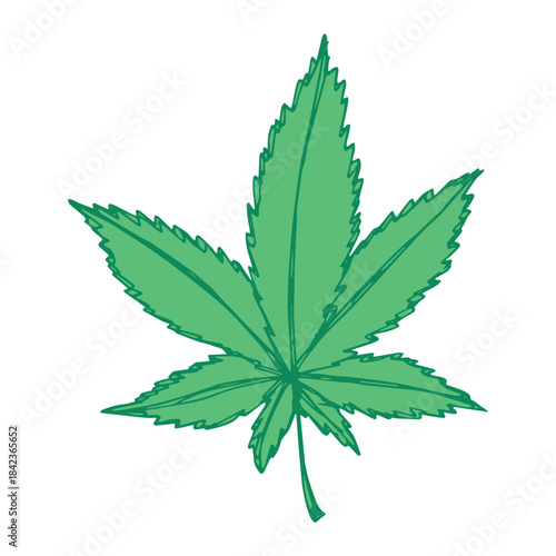 Hand drawn cannabis leaf Medicine marijuana Hemp leaves clipart in doodle style Single element for print, web, design, decor