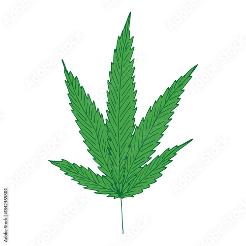 Hand drawn cannabis leaf Medicine marijuana Hemp leaves clipart in doodle style Single element for print, web, design, decor