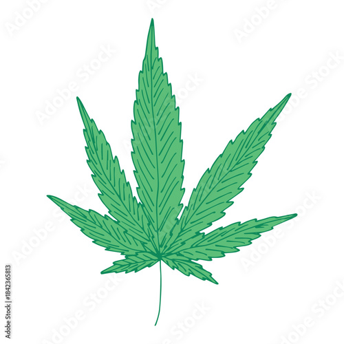 Hand drawn cannabis leaf Medicine marijuana Hemp leaves clipart in doodle style Single element for print, web, design, decor