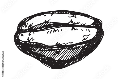 Hand drawn fresh roasted coffee bean Arabica robusta seed doodle Single element for print, web, design, decor