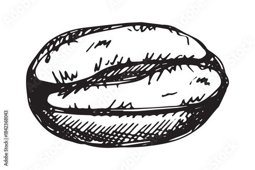 Hand drawn fresh roasted coffee bean Arabica robusta seed doodle Single element for print, web, design, decor