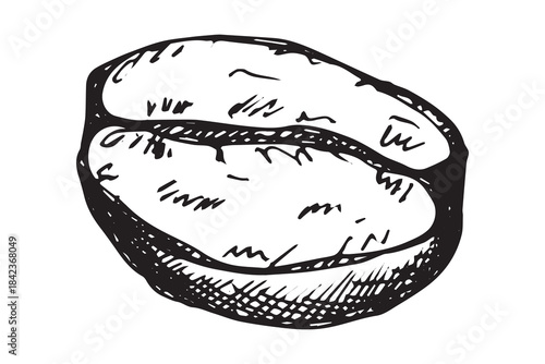 Hand drawn fresh roasted coffee bean Arabica robusta seed doodle Single element for print, web, design, decor