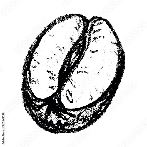 Hand drawn fresh roasted coffee bean Arabica robusta seed doodle Single element for print, web, design, decor