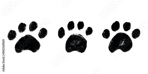 Set of hand drawn cute cat's paw Cat, dog, animal footprint in doodle style Single element for print, web, design, decor, greeting cards, children's prints