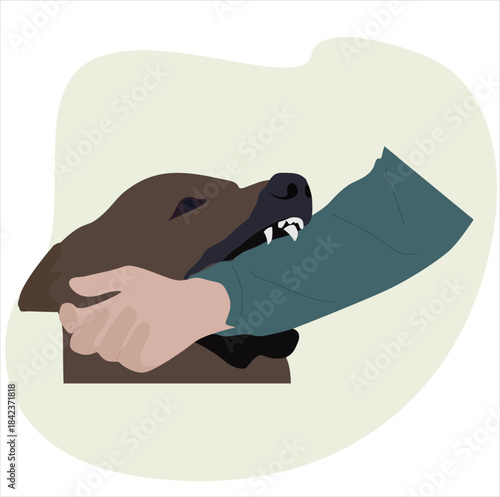 hand bitten by a dog. Rabid aggressive dog attacks and bites man on hand