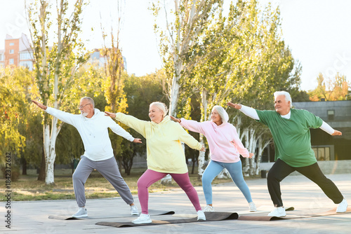 Group of sporty senior peop...
