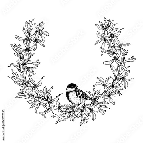 Spring wreath of flowering forsythia branches with tit perched on them line art black ink sketch. Monochrome blooming flowers with bird vector illustration. Floral frame for Easter holiday designs
