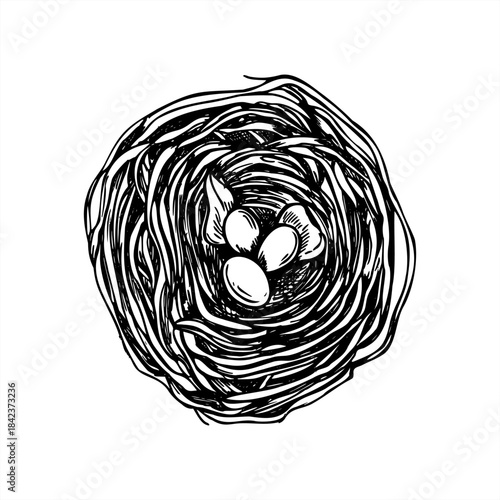 Bird nest with three small white eggs vector isolated line art black ink sketch. Forest nest made of dried twigs monochrome illustration. For educational materials, conservation campaigns, web design