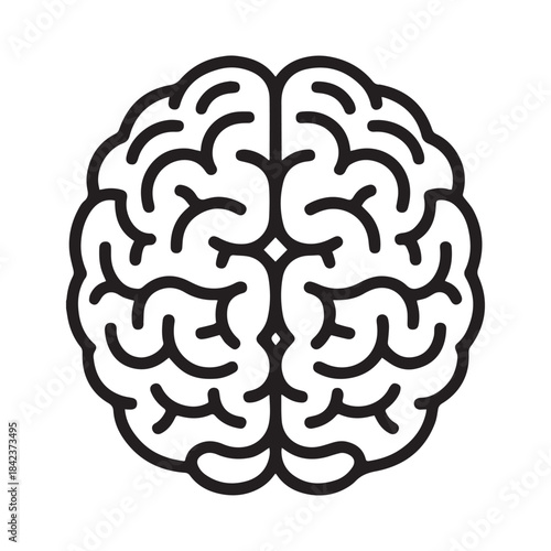Stylized top view of human brain with clear outline