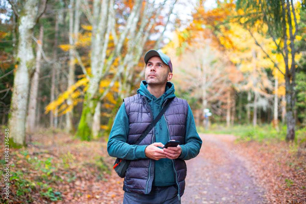 Obraz premium Man standing on a forest road in autumn, holding a smartphone and looking up while navigating outdoors. Concept of travel, GPS navigation, decision making and active lifestyle