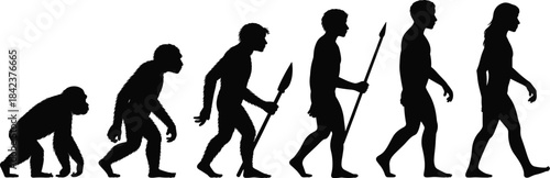 Silhouette human evolution stages from ape to modern man, primitive tools, hunting development, anthropology concept, scientific biology illustration