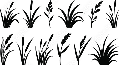 Vector file text graphic on a clean white background, digital design resource illustration, scalable artwork, high-quality resolution, file format placeholder for creative projects.