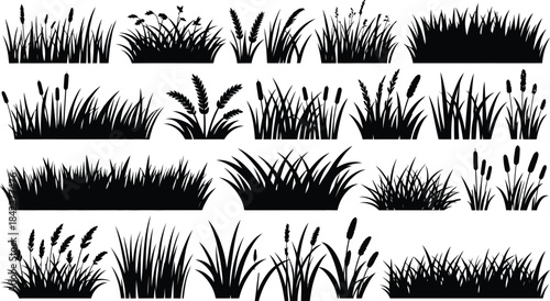 Digital vector file text on a clean white background, simple minimalist graphic design element, abstract illustration, computer screen placeholder for technology and software projects.