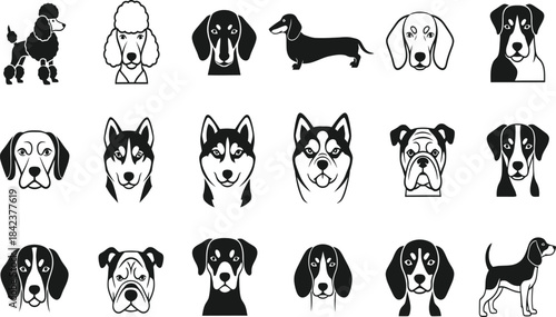 A conceptual digital graphic design illustrating a vector file, representing scalable resolution technology and high-quality creative resources for professional applications.