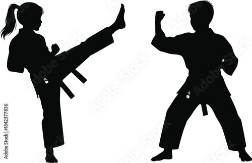Silhouettes of martial artists sparring in gi uniforms, practicing high kick and defensive stance, symbolizing training, balance, discipline