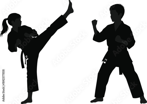 Silhouettes of martial artists sparring in traditional gi uniforms, practicing high kick technique, discipline, balance, training, and strength