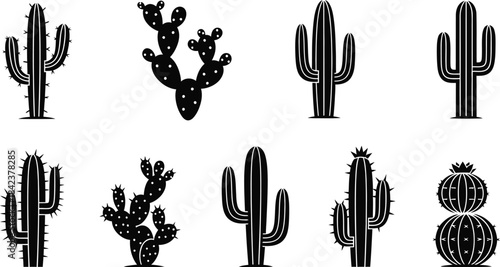 Simple text graphic 'vector file' on a clean background for digital design projects, scalable illustration, and professional creative work resources.