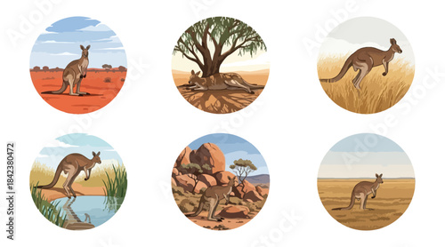 Kangaroo illustrations diverse scenes depicting wildlife in natural habitats