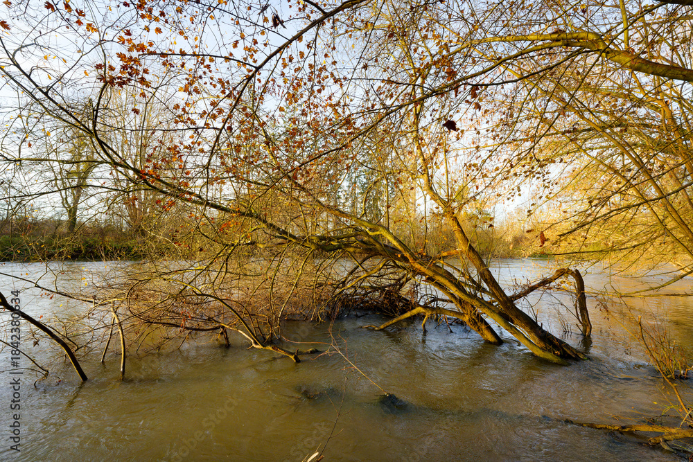 Obraz premium Loing river in the plain of Sorques. French Gatinais Regional Nature Park