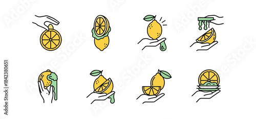 Lemon illustrations collection graphic elements vector set fresh citrus fruits