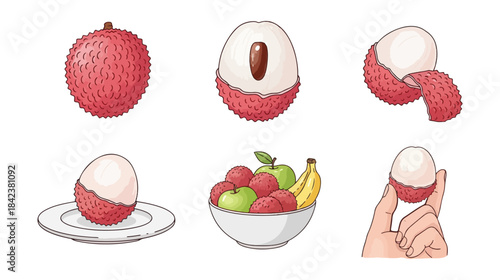 Lychee fruit set isolated on white with different stages of preparation